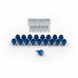 Rocker Cover Dress-Up Bolt set for EVO 10 Engines