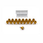 Rocker Cover Dress-Up Bolt set for EVO 10 Engines