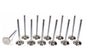 RB25 NEO Exhaust +1mm Valve Set